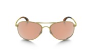Oakley Given Polarized Oakley Given Polarized